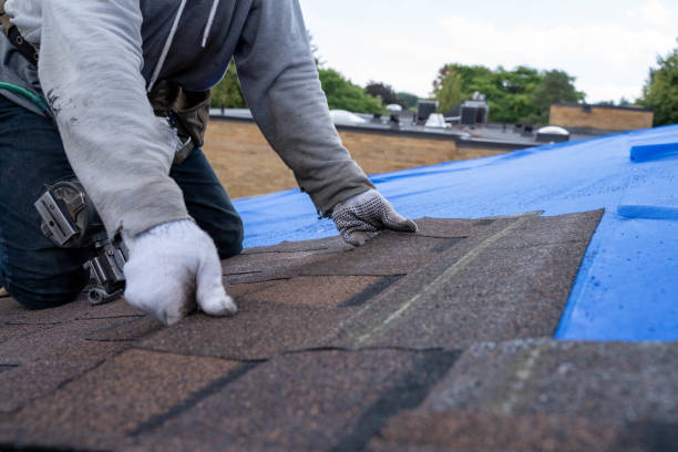 Best Metal Roofing Installation  in Rainbow City, AL