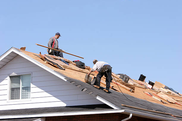 Best Rubber Roofing (EPDM, TPO)  in Rainbow City, AL
